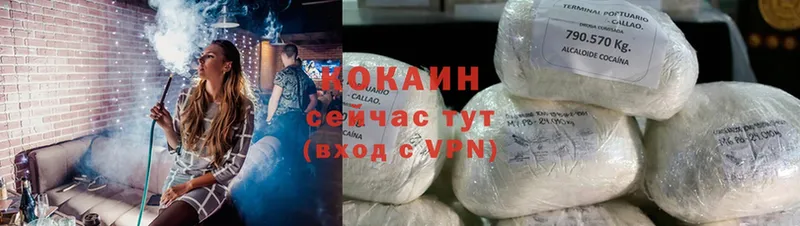 Cocaine Fish Scale  Сыктывкар 