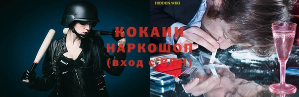 дмт Карпинск