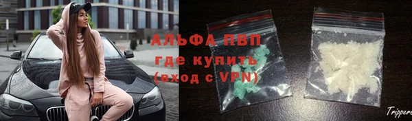 стаф Карталы