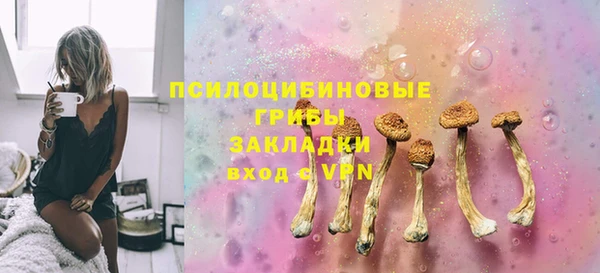 стаф Карталы