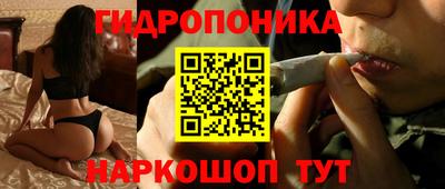 индика Кинель