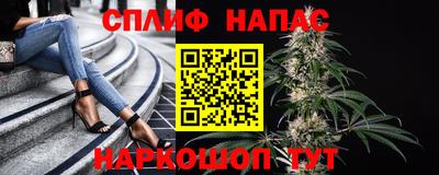 индика Кинель
