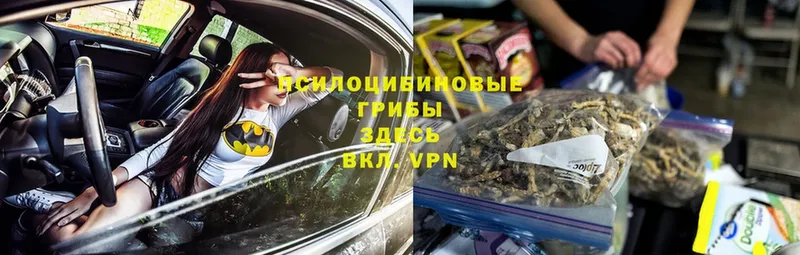 купить закладку  Сыктывкар  Псилоцибиновые грибы Cubensis 