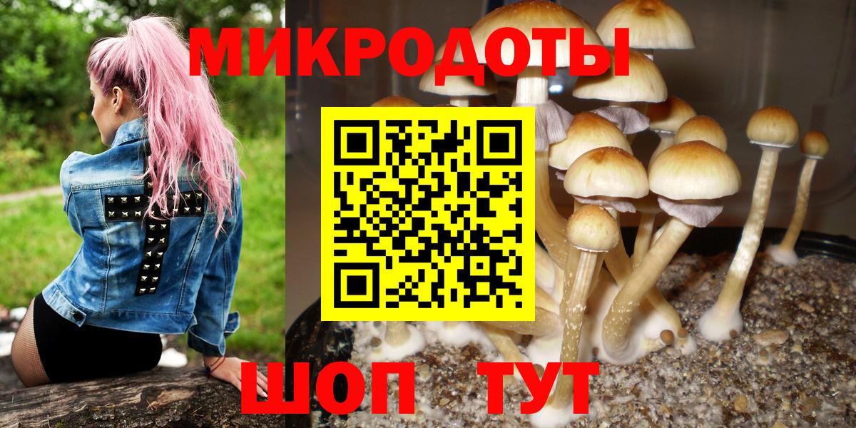 Псилоцибиновые грибы Psilocybe  Галлюциногенные грибы MAGIC MUSHROOMS  даркнет сайт  Вход с VPN  Сыктывкар 