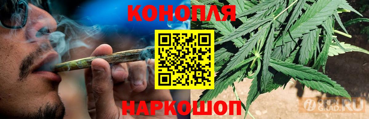 Шишки марихуана планчик  Шишки марихуана White Widow  Вход с VPN  Сыктывкар 